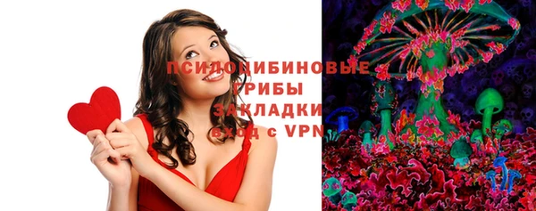mix Сосновый Бор