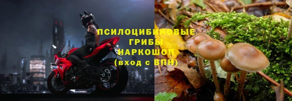 каннабис Сосновка